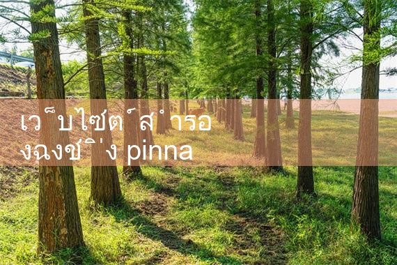 ฉงชิ่ง pinnacle สำรองที่อยู่|Playme8|ufabet|fun88