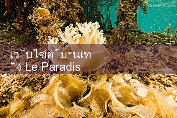 เว็บไซต์ความบันเทิง Le Paradise fun88 สำหรับ Android|Play8|fun88|m88