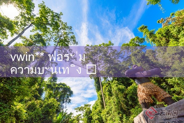 vwin ** ฟอรั่มความบันเทิง|10bet