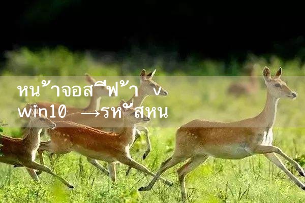 vwin10 หน้าจอสีน้ำเงิน|10bet