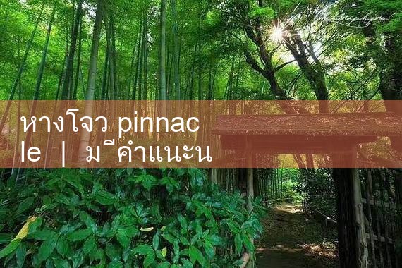หางโจว The pinnacle|Playme8|ufabet|fun88