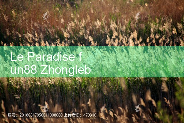 Le Paradise สนุก88 Zonglebo|Play8|fun88|m88
