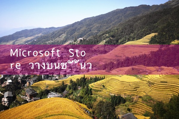 Microsoft Store วางบนชั้นวางของ Firewire รุ่น xbeta|8xbet|m88|fun88|playme8