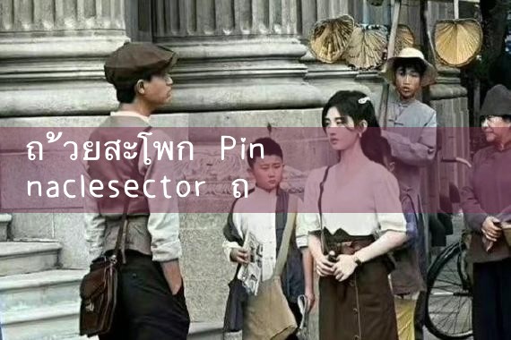 ซับวูฟเฟอร์ Pinnacle|playme8|fun88