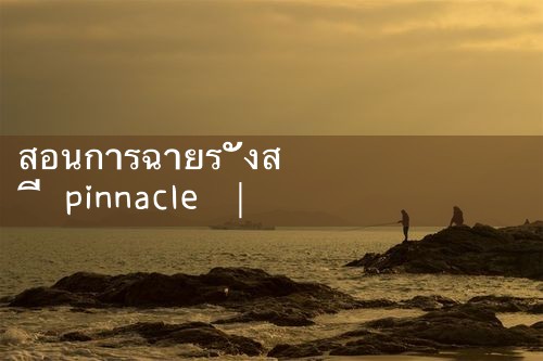 Pinnacle รังสีบำบัดกวดวิชา|playme8|fun88