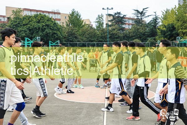 pinnacleathletics|playme8|fun88