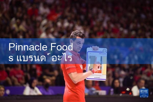 Pinnacle Foods แบรนด์อะไร|playme8|fun88