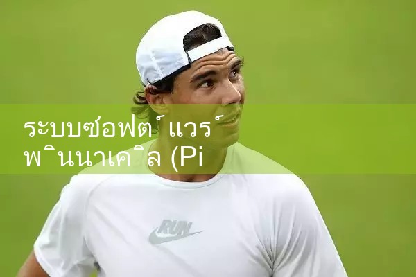 ระบบซอฟต์แวร์พินนาเคิล|Playme8|ufabet|fun88